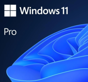 Microsoft Windows 11 Pro
