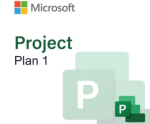 Microsoft Project Plan 1 - 1 Year